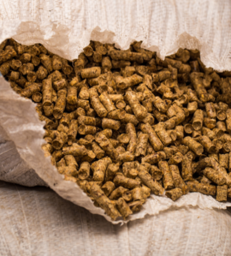 Design fără titlu (32)